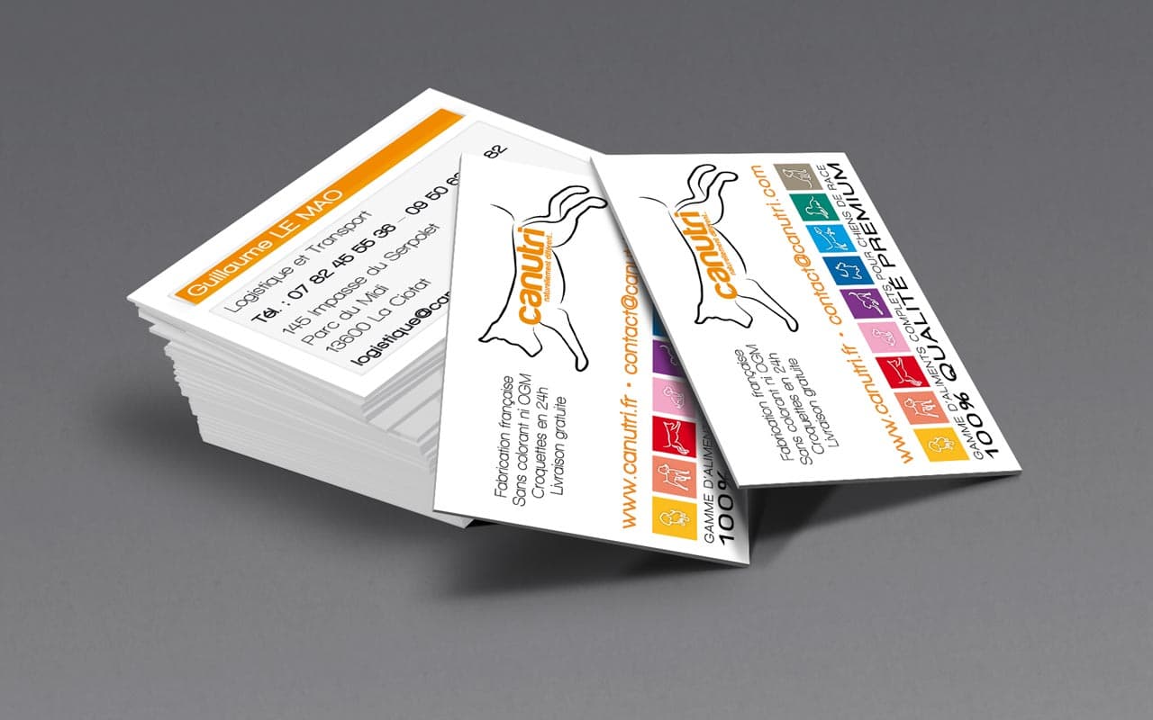 Cartes de visite - Concept, illustration, impression